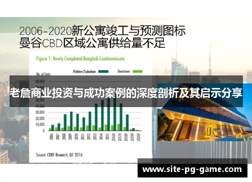 老詹商业投资与成功案例的深度剖析及其启示分享