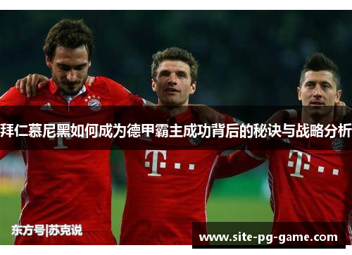 拜仁慕尼黑如何成为德甲霸主成功背后的秘诀与战略分析