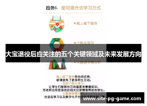 大宝退役后应关注的五个关键领域及未来发展方向