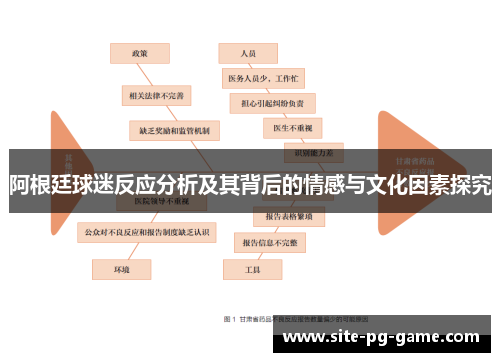 阿根廷球迷反应分析及其背后的情感与文化因素探究