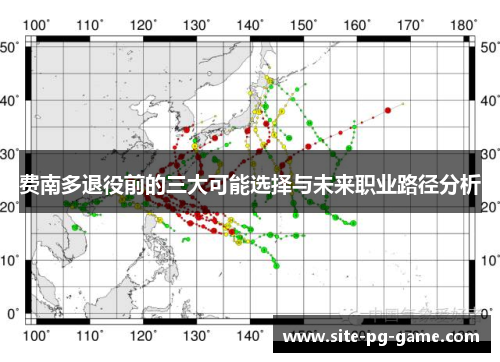 费南多退役前的三大可能选择与未来职业路径分析