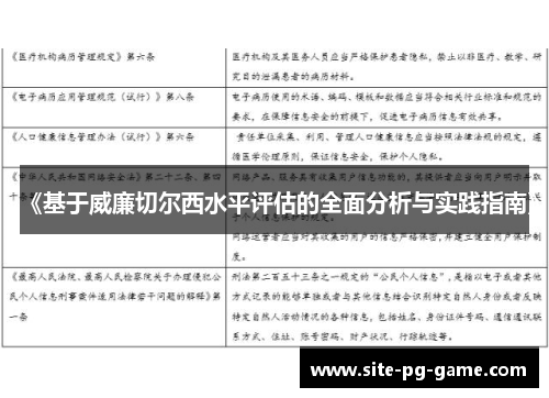《基于威廉切尔西水平评估的全面分析与实践指南》