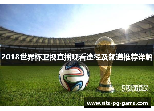 2018世界杯卫视直播观看途径及频道推荐详解 2018世界杯卫视直播观看途径及频道推荐详解