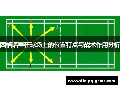 西格诺里在球场上的位置特点与战术作用分析 西格诺里在球场上的位置特点与战术作用分析