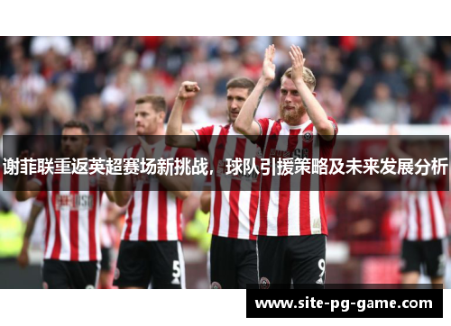 谢菲联重返英超赛场新挑战，球队引援策略及未来发展分析