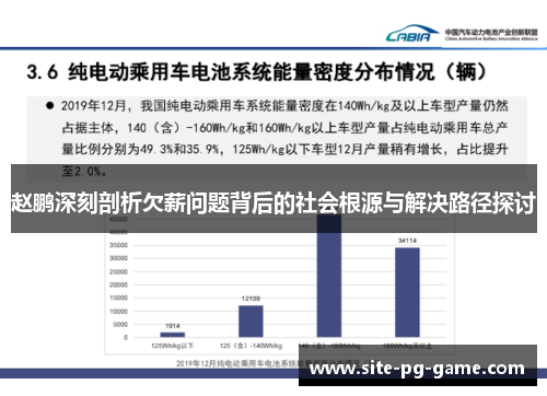 赵鹏深刻剖析欠薪问题背后的社会根源与解决路径探讨