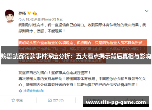 魏震禁赛罚款事件深度分析：五大看点揭示背后真相与影响