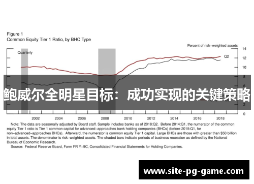 鲍威尔全明星目标：成功实现的关键策略